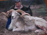 Texas Dall Hunts with professional hunting guide Dan Moody Hunting Services in Texas
