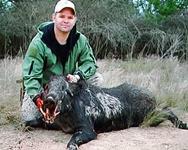 Trophy Boar Hunts with professional hunting guide Dan Moody Hunting Services in Texas