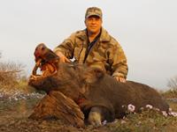 Trophy Boar Hunts with professional hunting guide Dan Moody Hunting Services in Texas