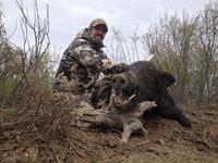 Trophy Boar Hunts with professional hunting guide Dan Moody Hunting Services in Texas
