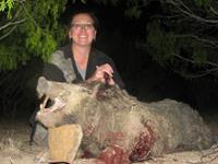 Trophy Boar Hunts with professional hunting guide Dan Moody Hunting Services in Texas