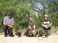 Trophy Boar Hunts with professional hunting guide Dan Moody Hunting Services in Texas