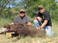 Trophy Boar Hunts with professional hunting guide Dan Moody Hunting Services in Texas