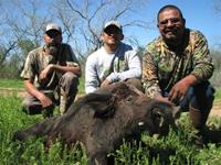 Trophy Boar Hunts with professional hunting guide Dan Moody Hunting Services in Texas