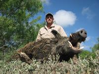 Trophy Boar Hunts with professional hunting guide Dan Moody Hunting Services in Texas