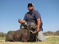 Trophy Boar Hunts with professional hunting guide Dan Moody Hunting Services in Texas