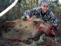 Trophy Boar Hunts with professional hunting guide Dan Moody Hunting Services in Texas
