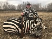 Zebra Hunts with professional hunting guide Dan Moody Hunting Services in Texas