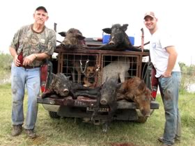 Limited time Hog Hunting Trip