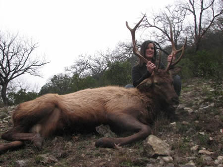 elk hunt in Texas