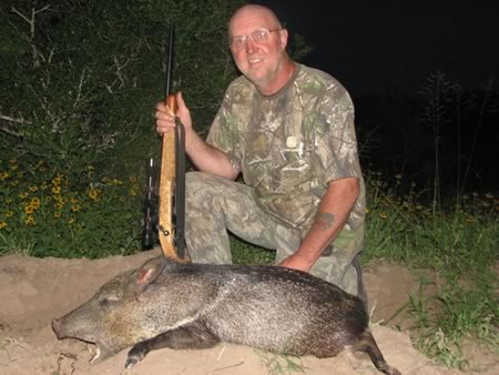 Javelina Hunt in Texas