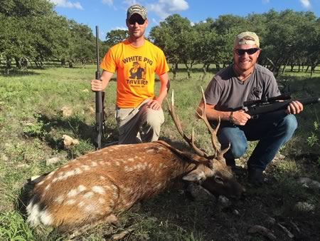 Sika Hunt in Texas