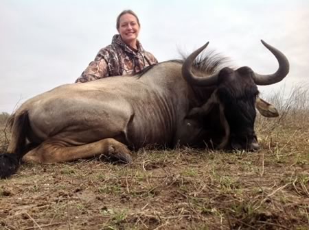 Wildebeest hunt in Texas