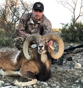 Red Sheep Hunting Trip in Texas