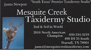 Exotic Hunts Taxidermy in Texas