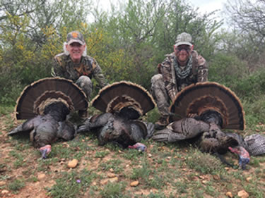 Turkey Hunt