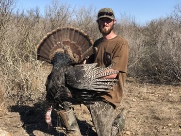 Turkey Hunt